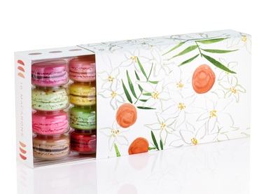 16_Virginia_Johnson_Macaron_Travel
