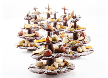 CHOCOLATE FOREST_PRODUCT_edited-1