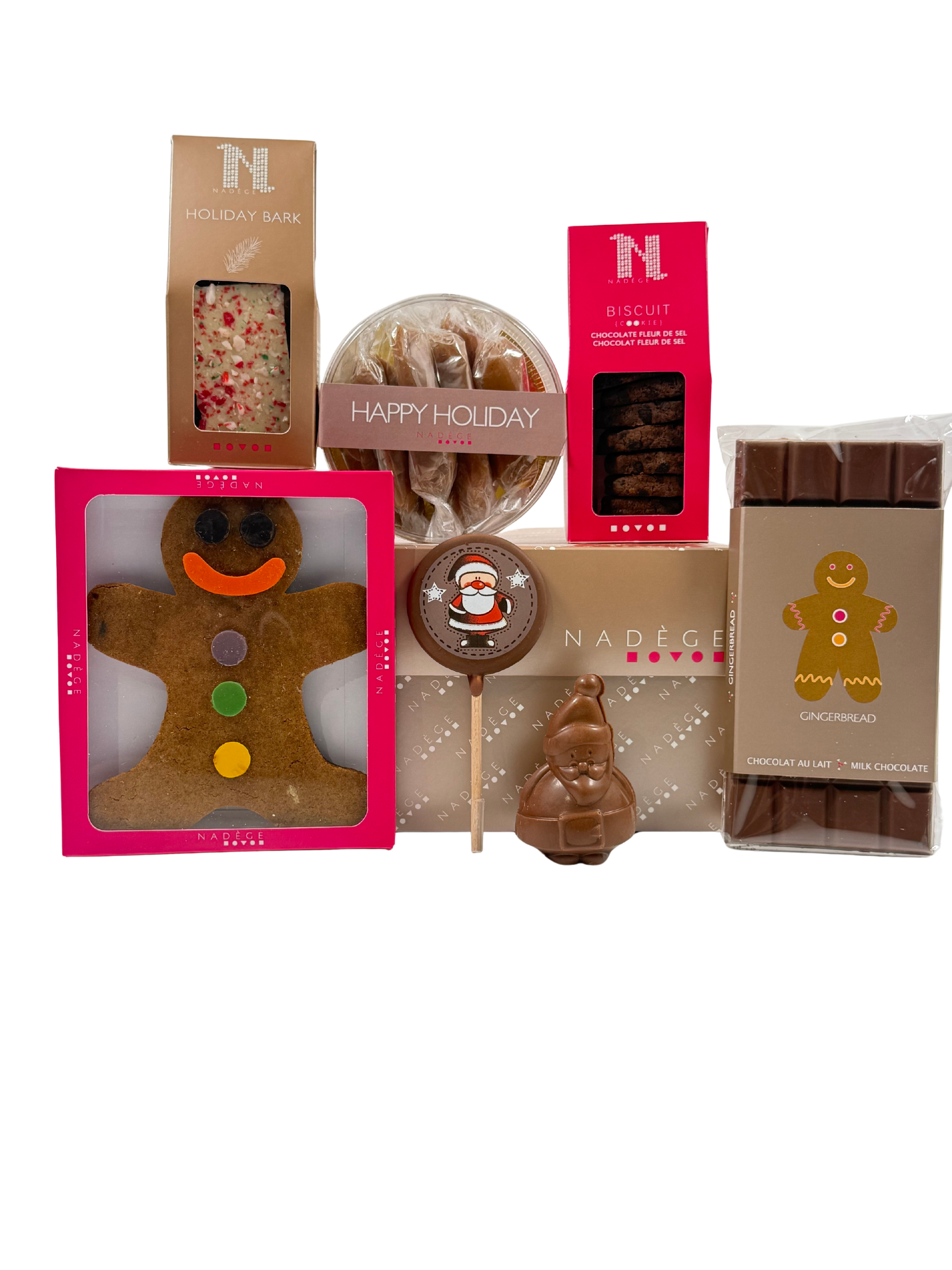 santa's gift bag- 2025